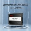 SSD 240GB SATA III 6Gb/s Internal Solid State Hard Drive 2.5"7mm(0.28") Read Speed Up To 550Mb/s 3D NAND For Laptop And Pc Somnambulist H650